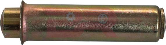 BOTTO RICAMBI BRM9745 - Успокоитель, зубчастий ремінь autocars.com.ua