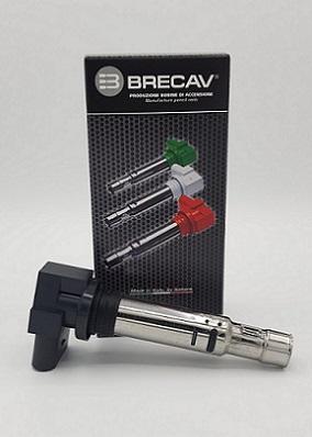 Brecav 114.010 - Катушка зажигания autodnr.net