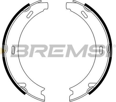 Bremsi GF0302 - Комплект гальм, ручник, парковка autocars.com.ua