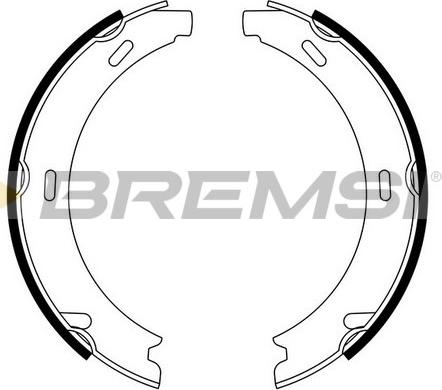 Bremsi GF0303 - Комплект гальм, ручник, парковка autocars.com.ua