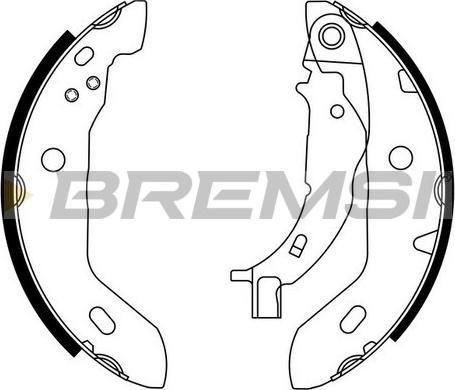 Bremsi GF0304 - Комплект гальм, ручник, парковка autocars.com.ua