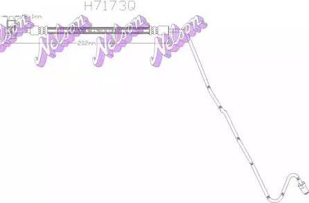 Brovex-Nelson H7173Q - Гальмівний шланг autocars.com.ua