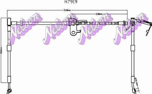 Brovex-Nelson H7919 - Гальмівний шланг autocars.com.ua