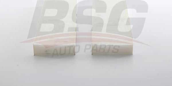 BSG BSG 11-145-001 - Фільтр, повітря у внутрішній простір autocars.com.ua