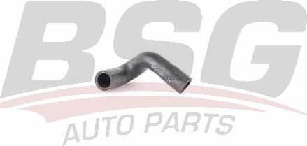BSG BSG 15-720-020 - Шланг, теплообмінник - опалення autocars.com.ua