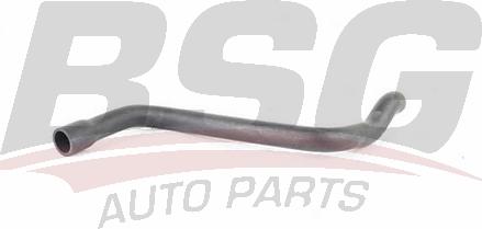 BSG BSG 15-720-026 - Шланг, воздухоотвод кришки головки циліндра autocars.com.ua