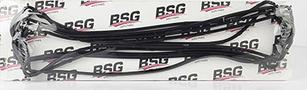 BSG BSG 30-116-063 - Прокладка, крышка головки цилиндра avtokuzovplus.com.ua