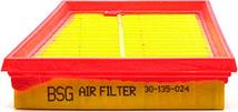 BSG BSG 30-135-024 - Воздушный фильтр autodnr.net