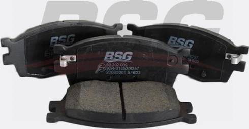 BSG BSG 40-202-005 - Гальмівні колодки, дискові гальма autocars.com.ua