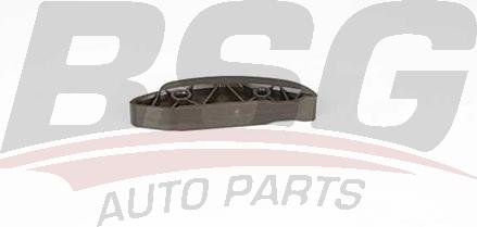 BSG BSG 60-109-039 - Планка заспокоювача, ланцюг приводу autocars.com.ua