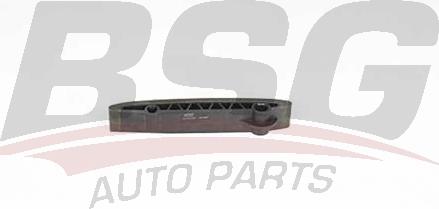 BSG BSG 60-109-047 - Планка заспокоювача, ланцюг приводу autocars.com.ua