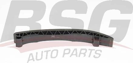 BSG BSG 60-109-049 - Планка заспокоювача, ланцюг приводу autocars.com.ua