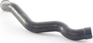 BSG BSG 60-720-275 - Шланг, воздухоотвод кришки головки циліндра autocars.com.ua