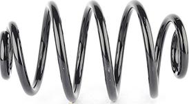 BSG BSG 65-305-010 - Пружина ходової частини autocars.com.ua