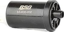 BSG BSG 65-830-002 - Топливный насос autodnr.net