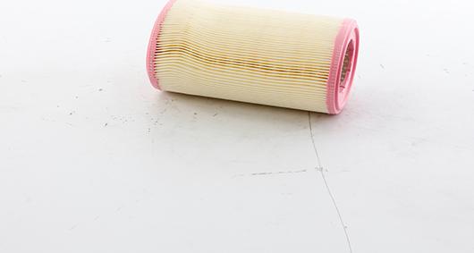 BSG BSG 70-135-037 - Повітряний фільтр autocars.com.ua