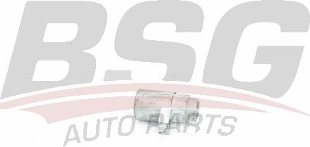 BSG BSG 90-922-055 - Регулювальний елемент, регулювання спинки сидіння autocars.com.ua
