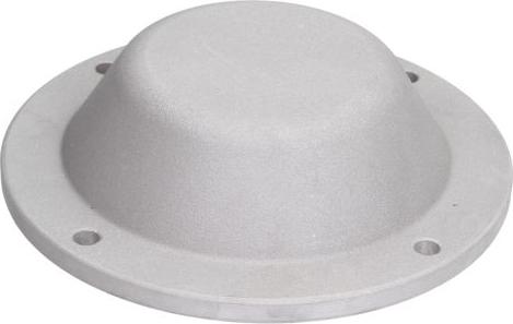 BTA B09-DAF-001 - Кожух, маточина колеса autocars.com.ua