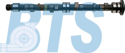 BTS Turbo CP10601 - Шток autocars.com.ua