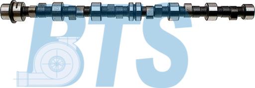 BTS Turbo CP10603 - Шток autocars.com.ua