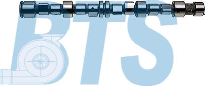 BTS Turbo CP12252 - Шток autocars.com.ua