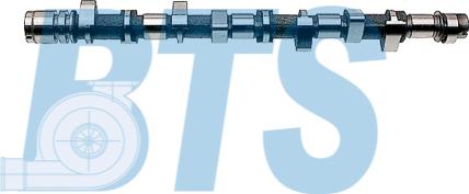 BTS Turbo CP15008 - Шток autocars.com.ua