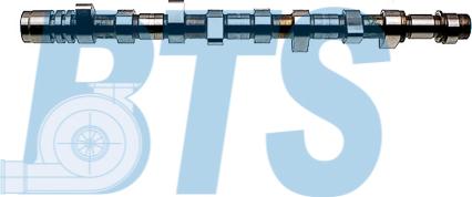 BTS Turbo CP15011 - Шток autocars.com.ua