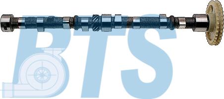 BTS Turbo CP15030 - Шток autocars.com.ua