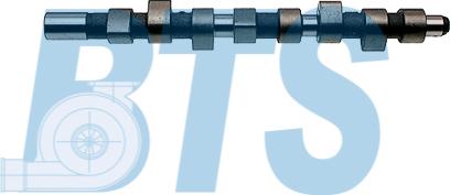 BTS Turbo CP16323 - Шток autocars.com.ua