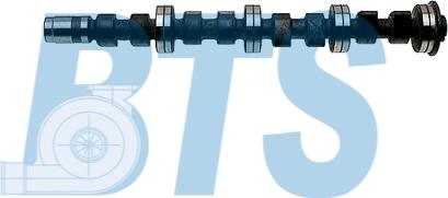 BTS Turbo CP16463 - Шток autocars.com.ua