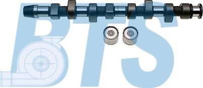 BTS Turbo CP60207 - Комплект распредвала autocars.com.ua
