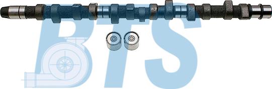 BTS Turbo CP60209 - Комплект распредвала autocars.com.ua