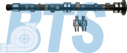 BTS Turbo CP60601 - Комплект распредвала autocars.com.ua
