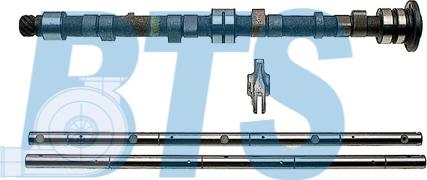 BTS Turbo CP60602 - Комплект распредвала autocars.com.ua