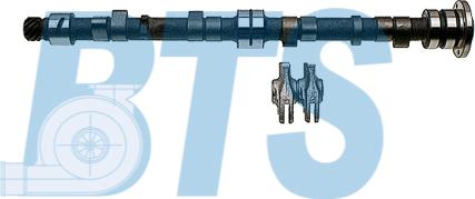 BTS Turbo CP60603 - Комплект распредвала autocars.com.ua