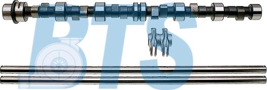 BTS Turbo CP60608 - Комплект распредвала autocars.com.ua
