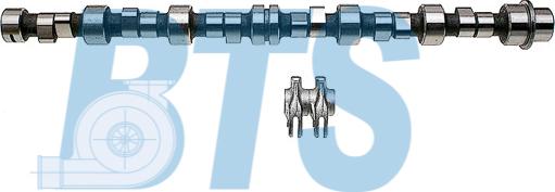 BTS Turbo CP60619 - Комплект распредвала autocars.com.ua