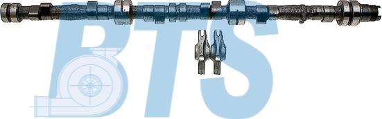 BTS Turbo CP60629 - Комплект распредвала autocars.com.ua