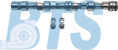 BTS Turbo CP62213 - Комплект распредвала autocars.com.ua