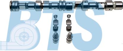 BTS Turbo CP62230 - Комплект распредвала autocars.com.ua