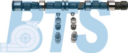 BTS Turbo CP62247 - Комплект распредвала autocars.com.ua