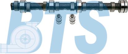 BTS Turbo CP62253 - Комплект распредвала autocars.com.ua
