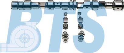 BTS Turbo CP62261 - Комплект распредвала autocars.com.ua