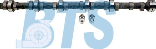 BTS Turbo CP62273 - Комплект распредвала autocars.com.ua