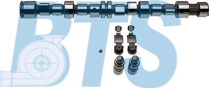 BTS Turbo CP62297 - Комплект распредвала autocars.com.ua