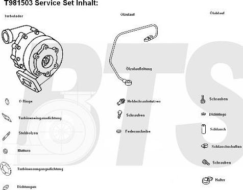 BTS Turbo T981503 - Турбина, компрессор autodnr.net