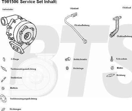 BTS Turbo T981506BL - Компресор, наддув autocars.com.ua