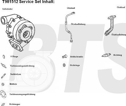 BTS Turbo T981512BL - Компресор, наддув autocars.com.ua