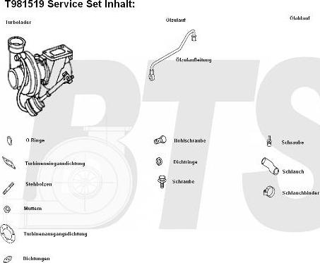 BTS Turbo T981519 - Компресор, наддув autocars.com.ua