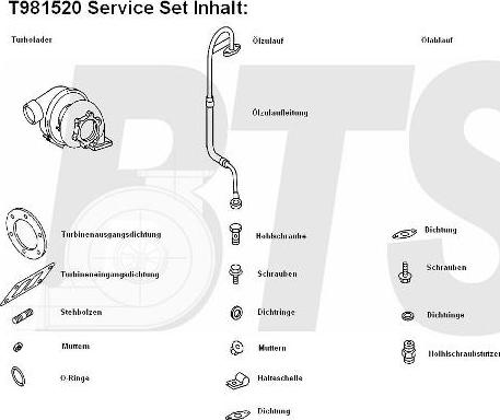 BTS Turbo T981520BL - Компресор, наддув autocars.com.ua